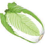 野菜のイラスト例